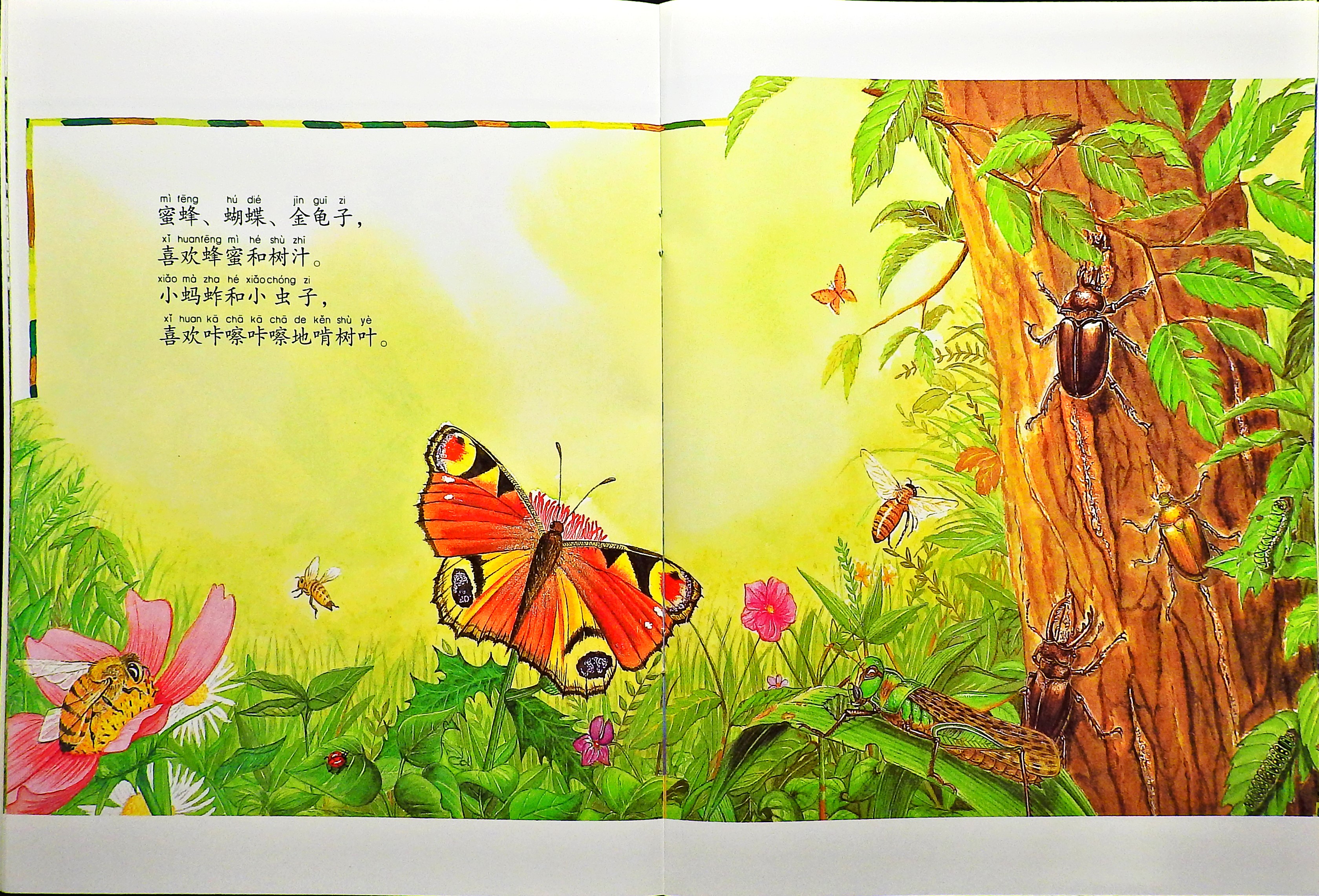 生物界的食物链 (07),绘本,绘本故事,绘本阅读,故事书,童书,图画书,课外阅读